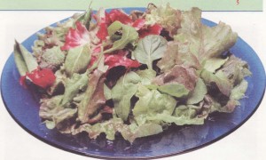 Рецепты салатов для похудения